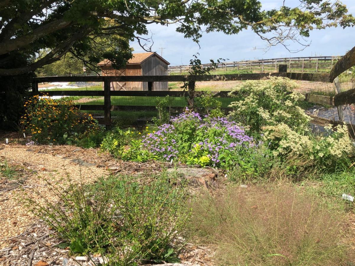 Cider House Bed And Breakfast Waynesboro Εξωτερικό φωτογραφία